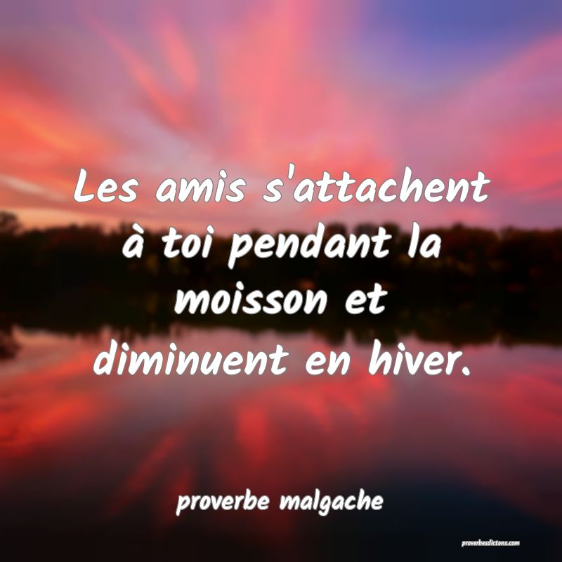  Les amis s'attachent à toi pendant la moisson et diminuent en hiver.