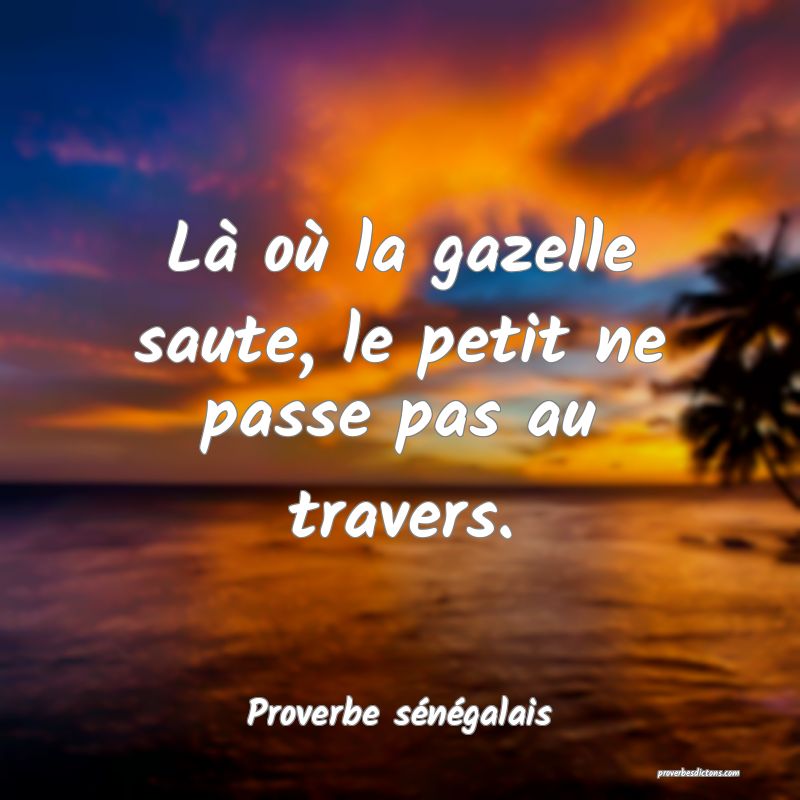  Là où la gazelle saute, le petit ne passe pas au travers.