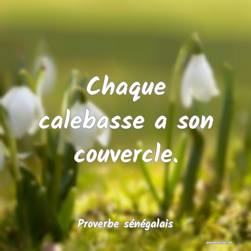 Chaque calebasse a son couvercle.