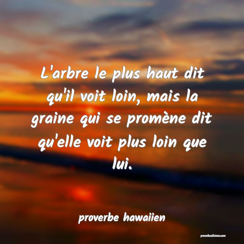 L'arbre le plus haut dit qu'il voit loin, mais la graine qui se promène dit qu'elle voit plus loin que lui.