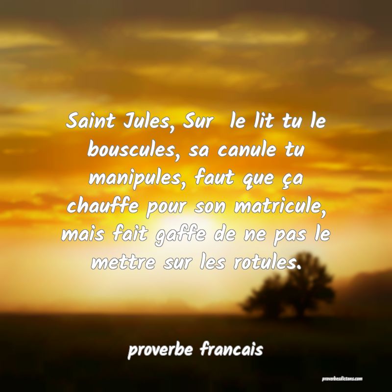  Saint Jules, Sur  le lit tu le bouscules, sa canule tu manipules, faut que ça chauffe pour son matricule, mais fait gaffe de ne pas le mettre sur les rotules.
