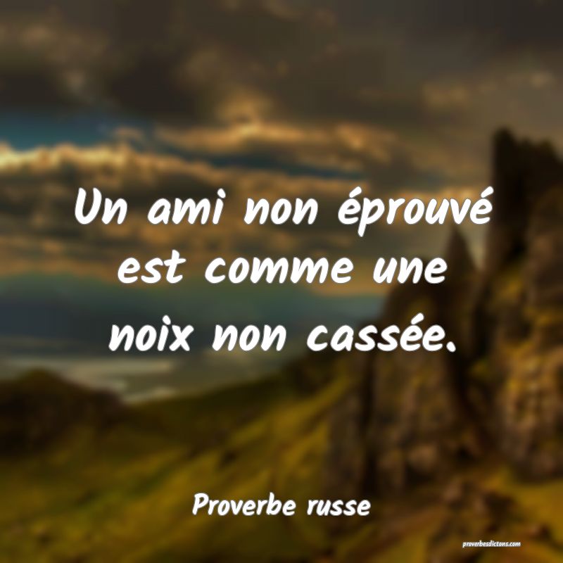  Un ami non éprouvé est comme une noix non cassée.