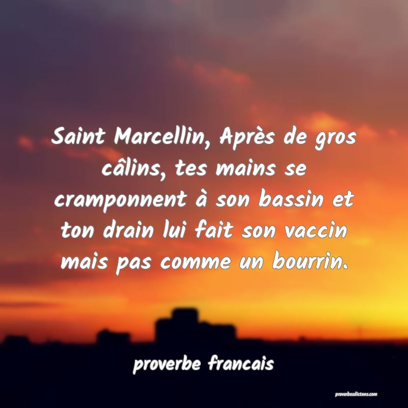  Saint Marcellin, Après de gros câlins, tes mains se cramponnent à son bassin et ton drain lui fait son vaccin mais pas comme un bourrin.