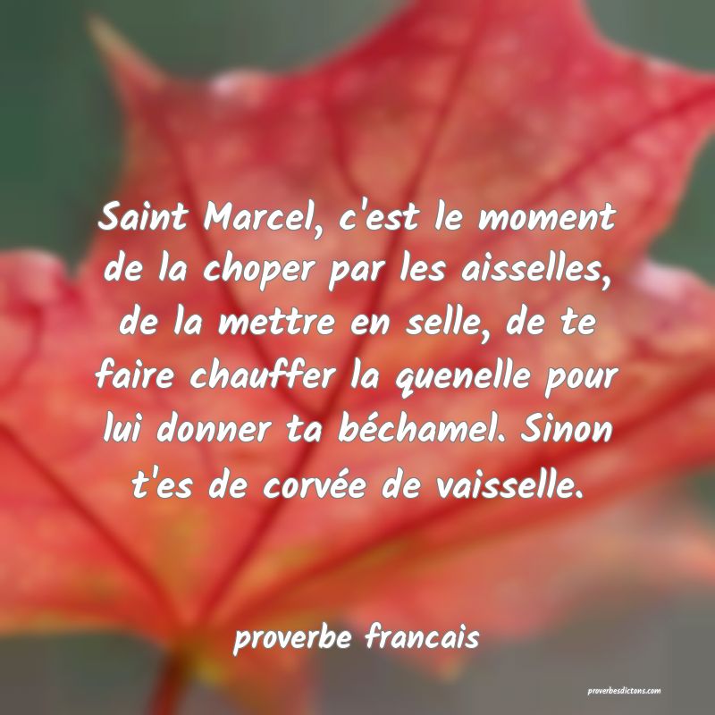 Saint Marcel, c'est le moment de la choper par les aisselles, de la mettre en selle, de te faire chauffer la quenelle pour lui donner ta béchamel. Sinon t'es de corvée de vaisselle.