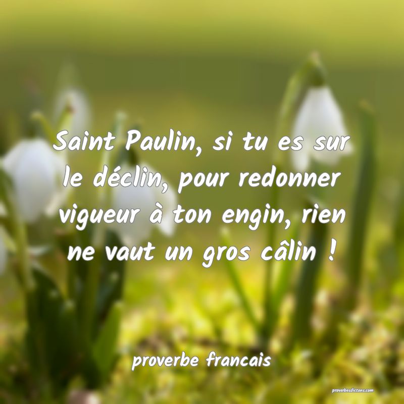  Saint Paulin, si tu es sur le déclin, pour redonner vigueur à ton engin, rien ne vaut un gros câlin !