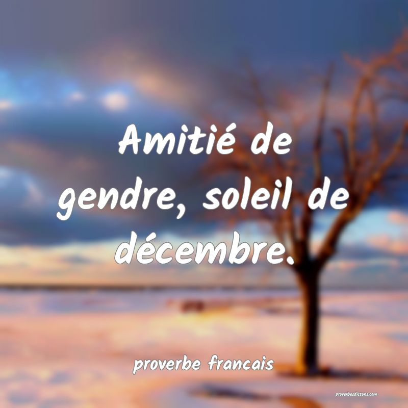  Amitié de gendre, soleil de décembre.
