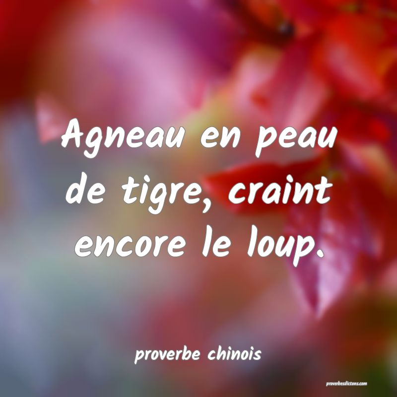  Agneau en peau de tigre, craint encore le loup.