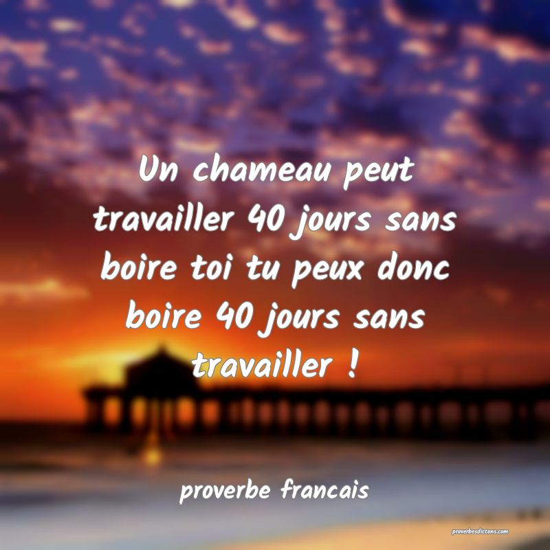  Un chameau peut travailler 40 jours sans boire toi tu peux donc boire 40 jours sans travailler !