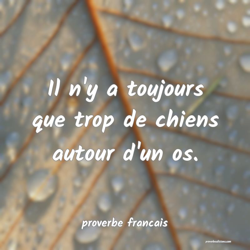  Il n'y a toujours que trop de chiens autour d'un os.