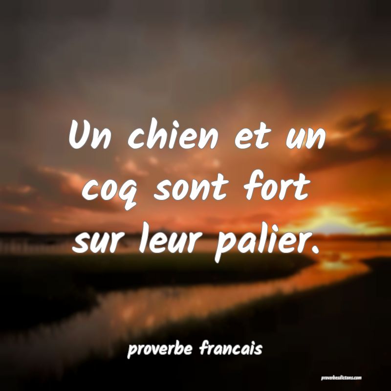  Un chien et un coq sont fort sur leur palier.