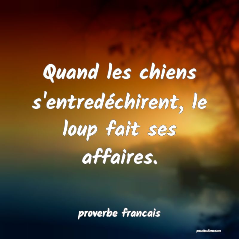  Quand les chiens s'entredéchirent, le loup fait ses affaires.