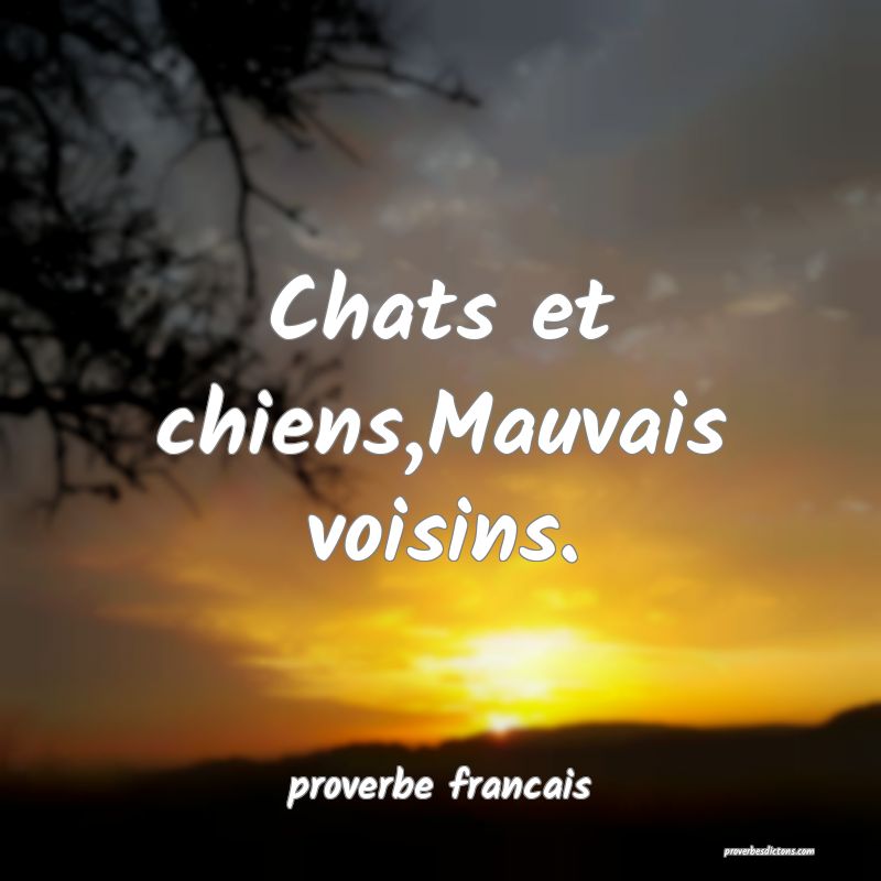  Chats et chiens,Mauvais voisins.