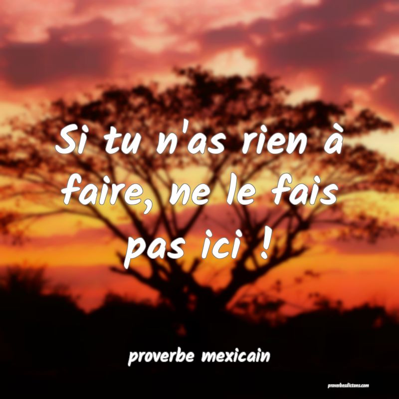  Si tu n'as rien à faire, ne le fais pas ici !