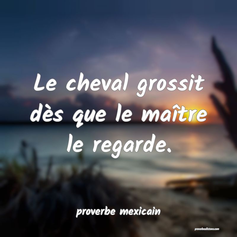  Le cheval grossit dès que le maître le regarde.