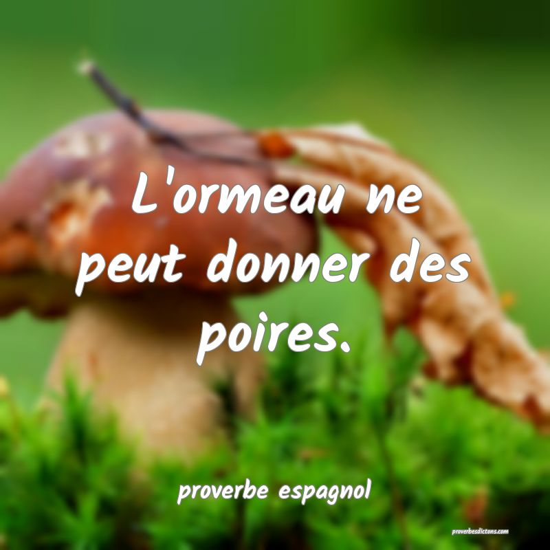  L'ormeau ne peut donner des poires.
