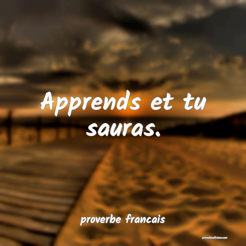  Apprends et tu sauras.