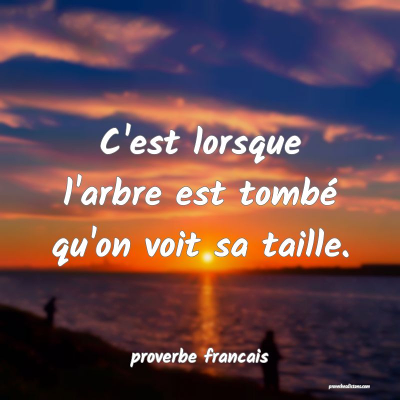 C'est lorsque l'arbre est tombé qu'on voit sa taille.