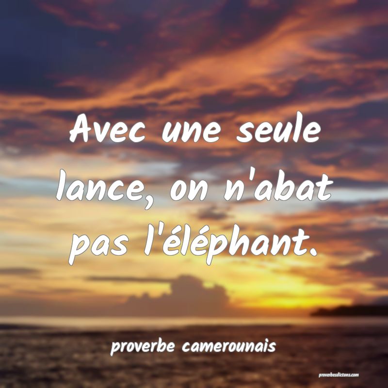  Avec une seule lance, on n'abat pas l'éléphant.
