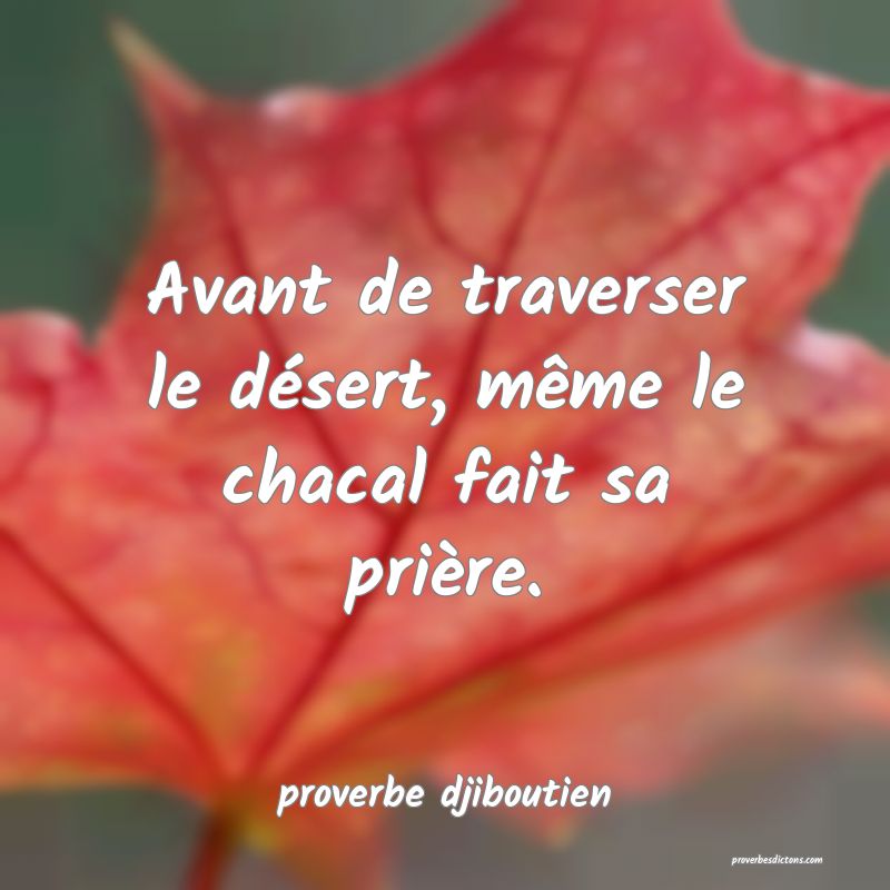 Avant de traverser le désert, même le chacal fait sa prière.