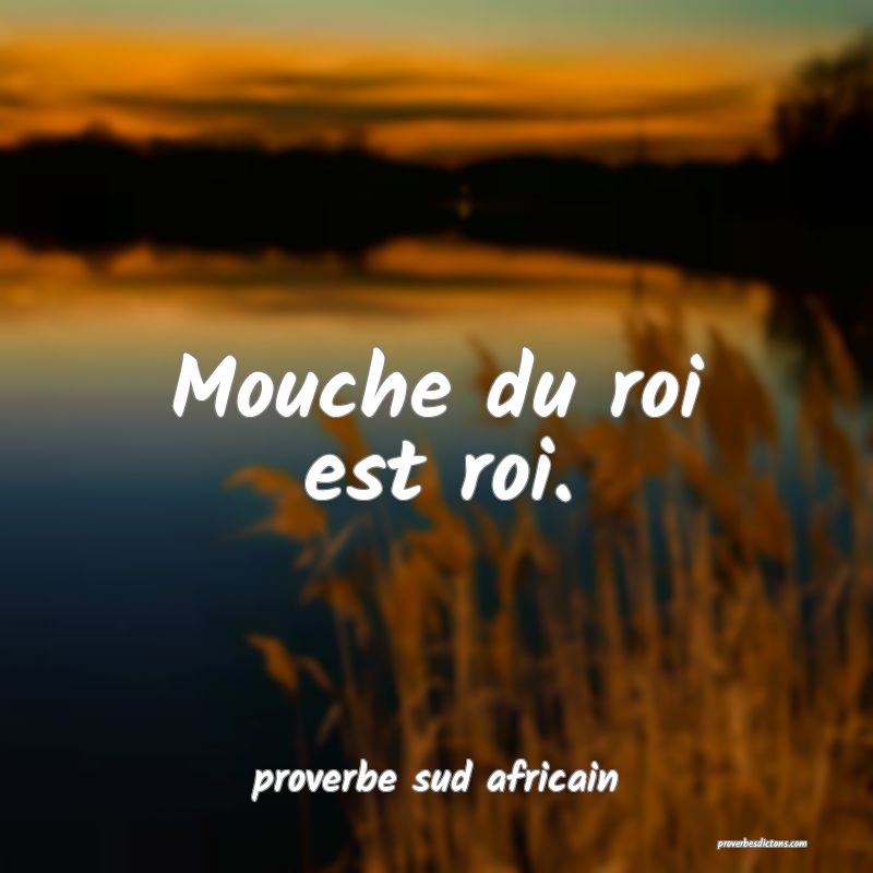  Mouche du roi est roi.