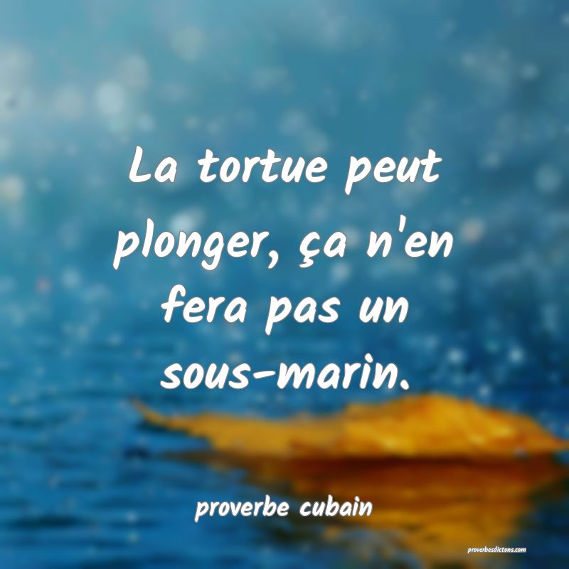  La tortue peut plonger, ça n'en fera pas un sous-marin.