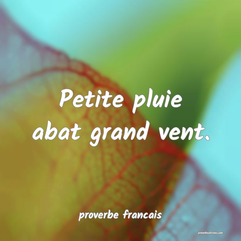  Petite pluie abat grand vent.