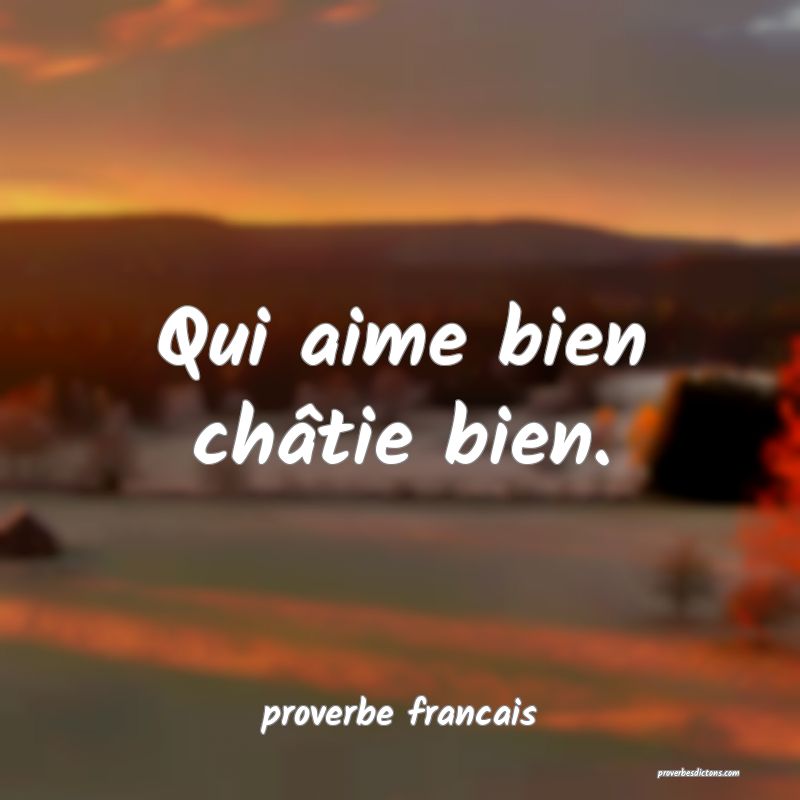  Qui aime bien châtie bien.