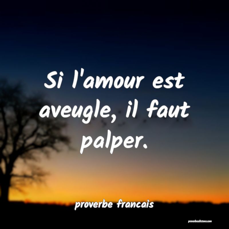  Si l'amour est aveugle, il faut palper.