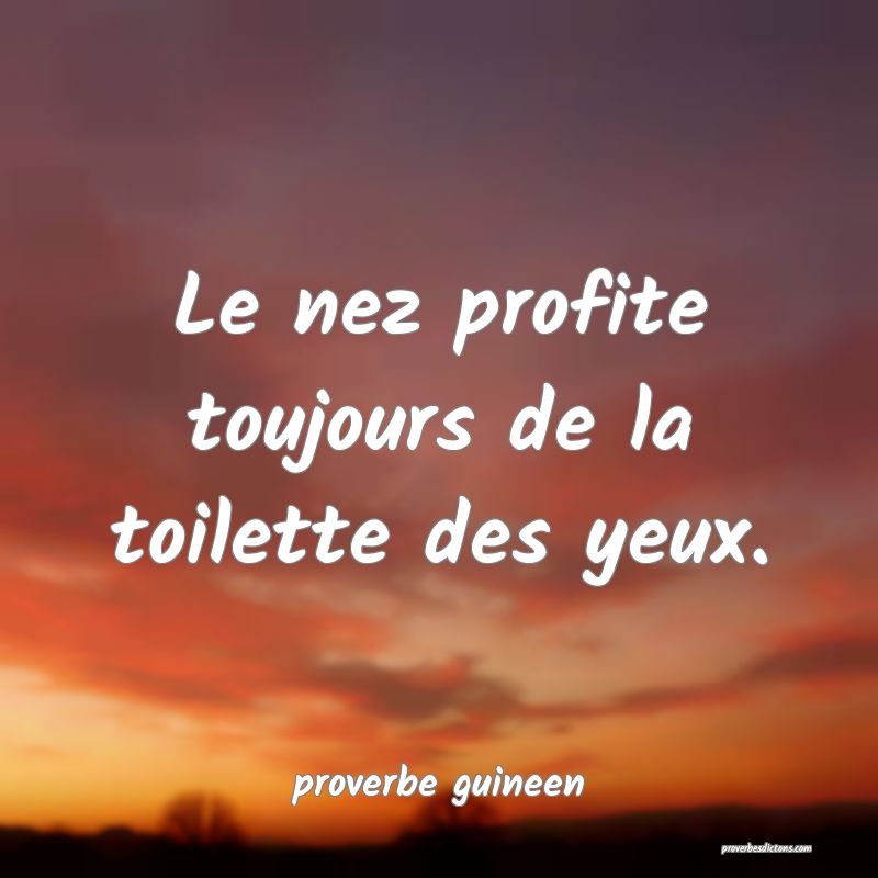  Le nez profite toujours de la toilette des yeux.