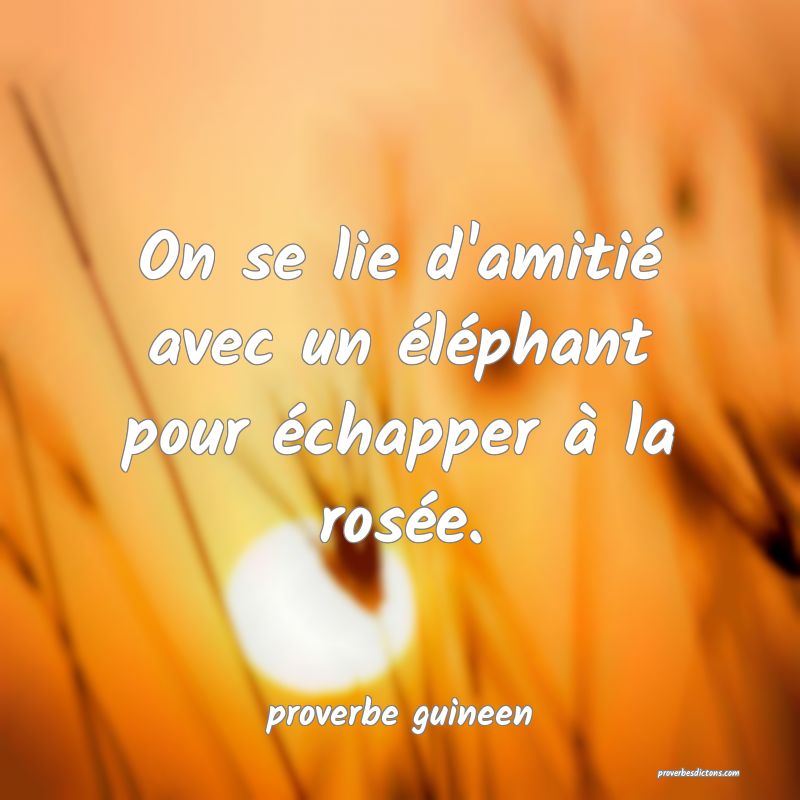  On se lie d'amitié avec un éléphant pour échapper à la rosée.