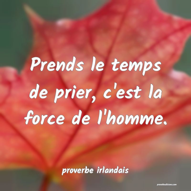  Prends le temps de prier, c'est la force de l'homme.