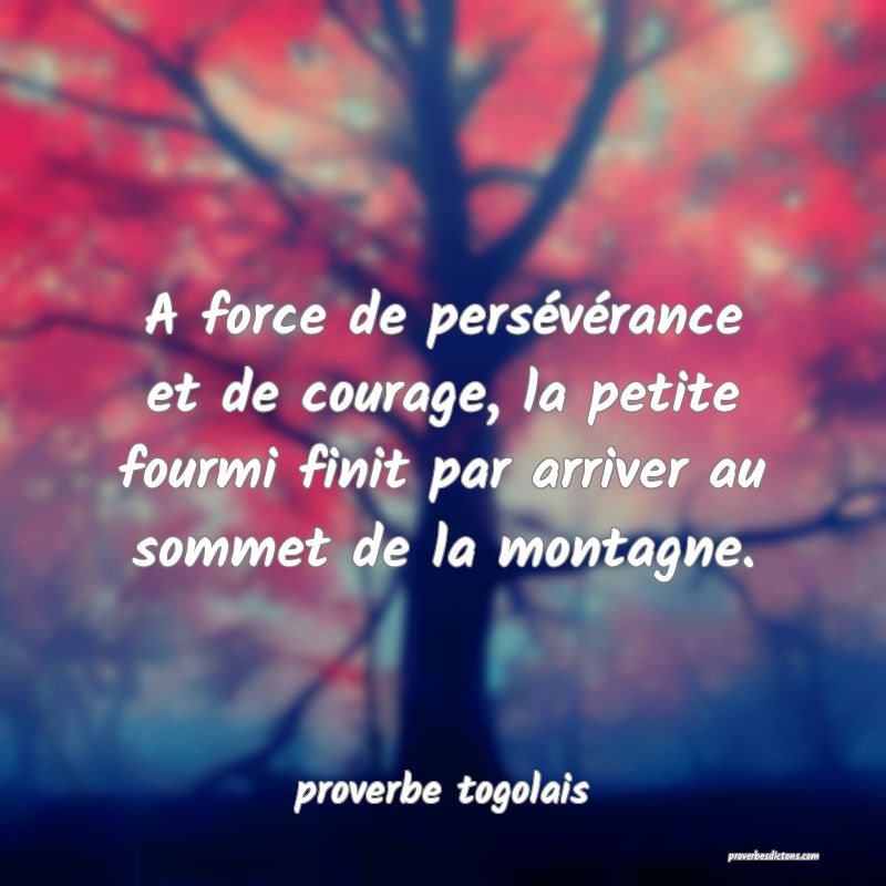  A force de persévérance et de courage, la petite fourmi finit par arriver au sommet de la montagne.   