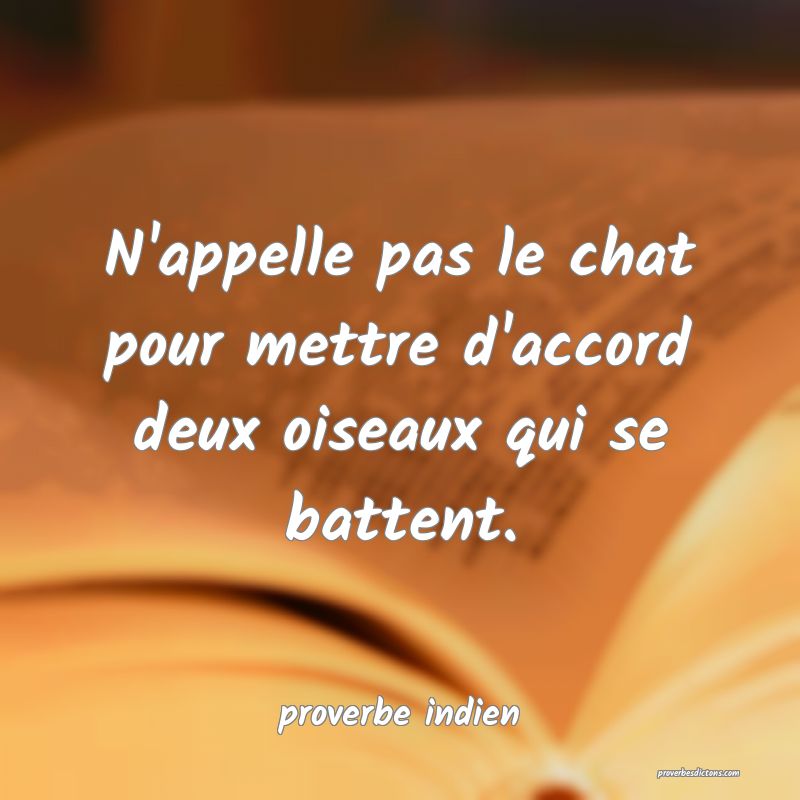  N'appelle pas le chat pour mettre d'accord deux oiseaux qui se battent.