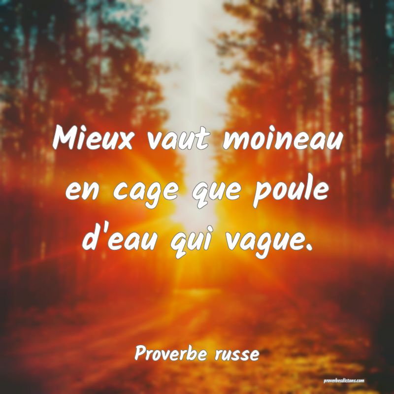  Mieux vaut moineau en cage que poule d'eau qui vague.