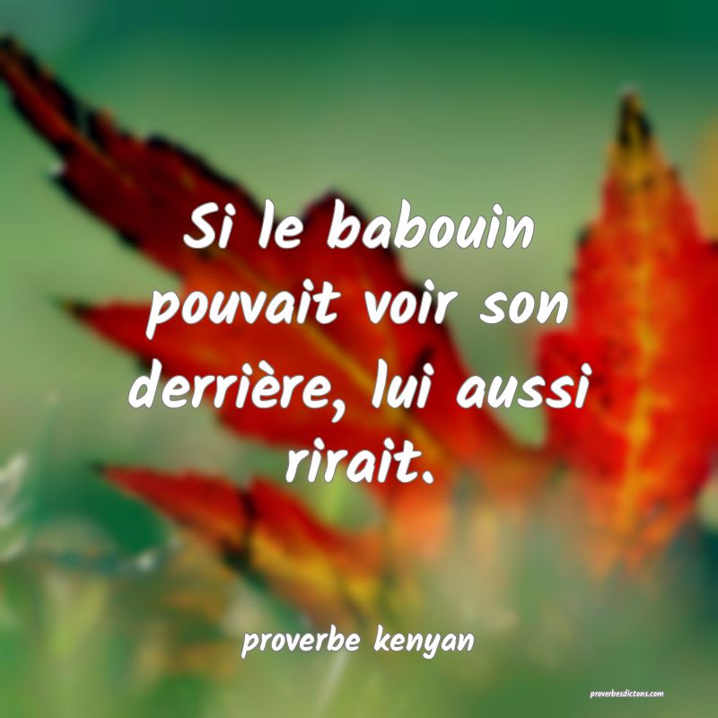  Si le babouin pouvait voir son derrière, lui aussi rirait.