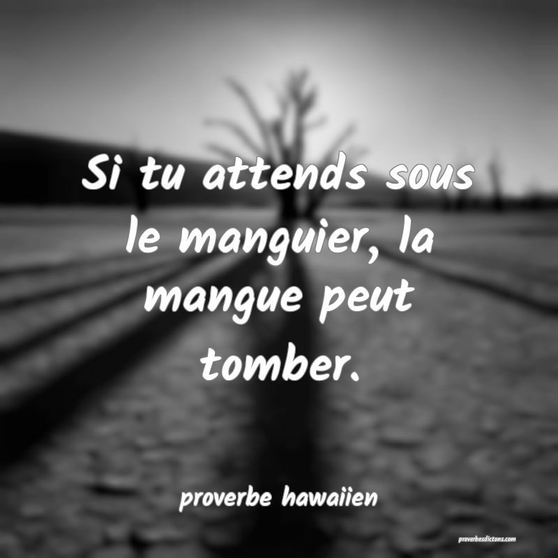  Si tu attends sous le manguier, la mangue peut tomber.