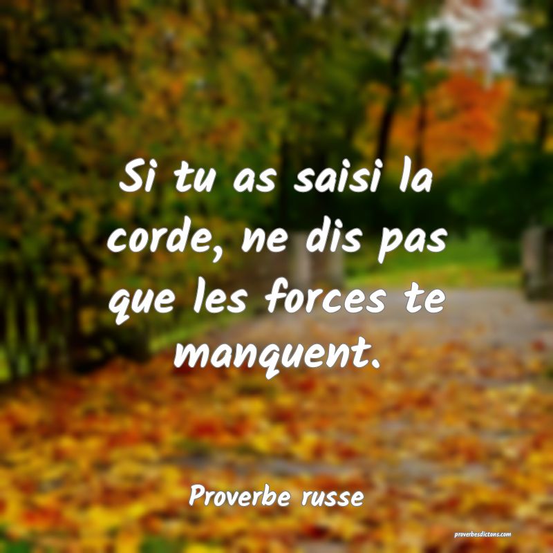  Si tu as saisi la corde, ne dis pas que les forces te manquent.