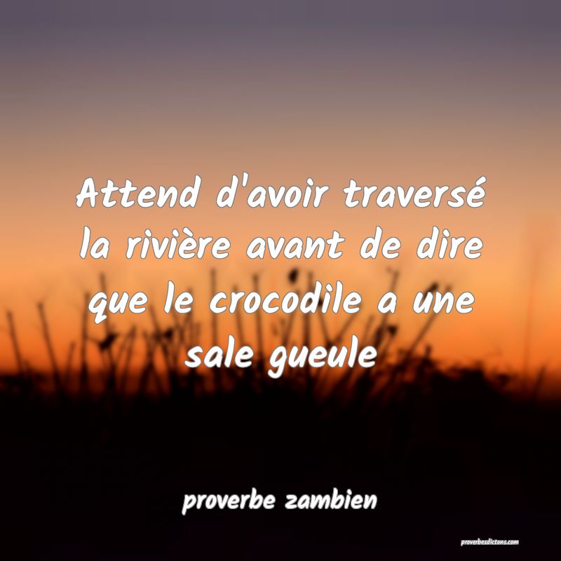  Attend d'avoir traversé la rivière avant de dire que le crocodile a une sale gueule
