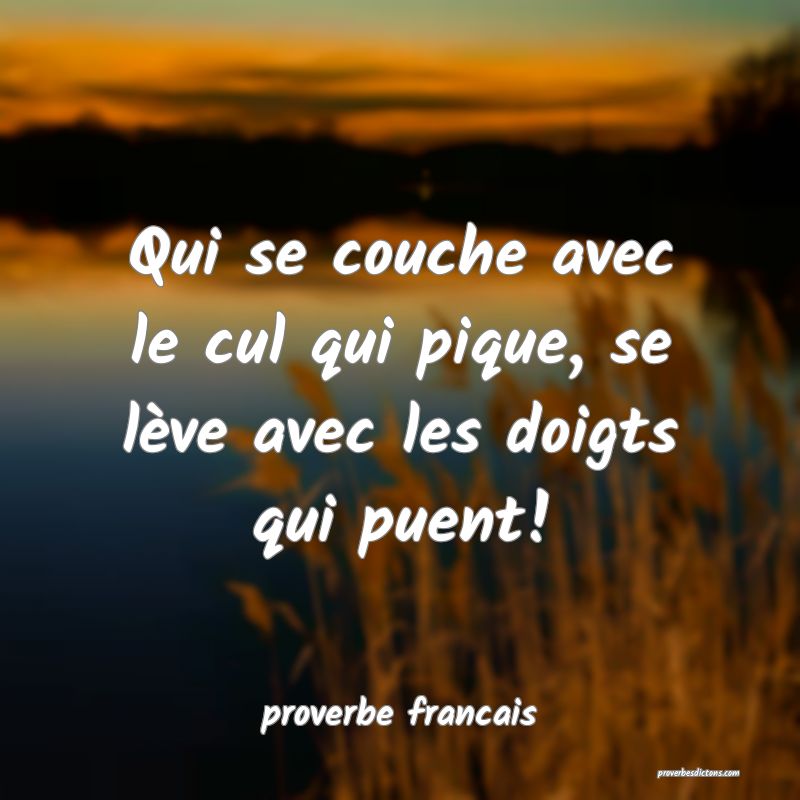  Qui se couche avec le cul qui pique, se lève avec les doigts qui puent!