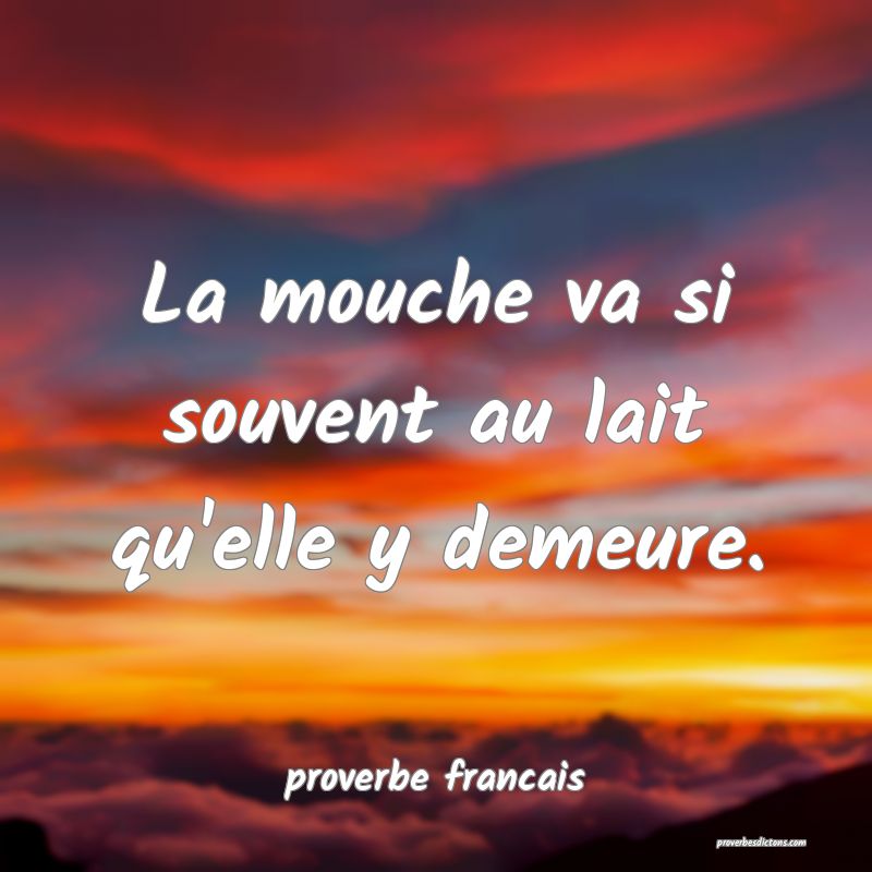  La mouche va si souvent au lait qu'elle y demeure.