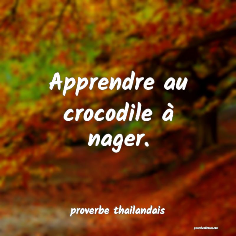  Apprendre au crocodile à nager.