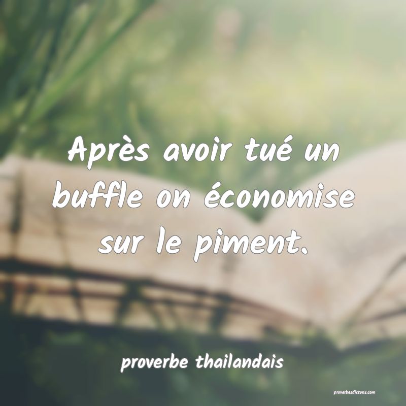  Après avoir tué un buffle on économise sur le piment.
