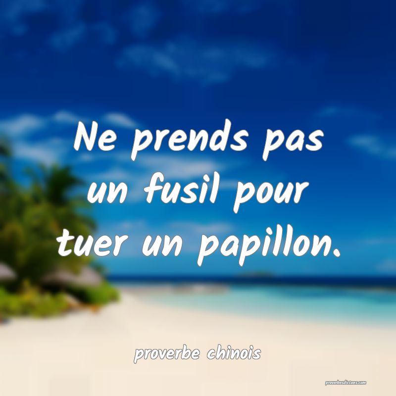  Ne prends pas un fusil pour tuer un papillon.