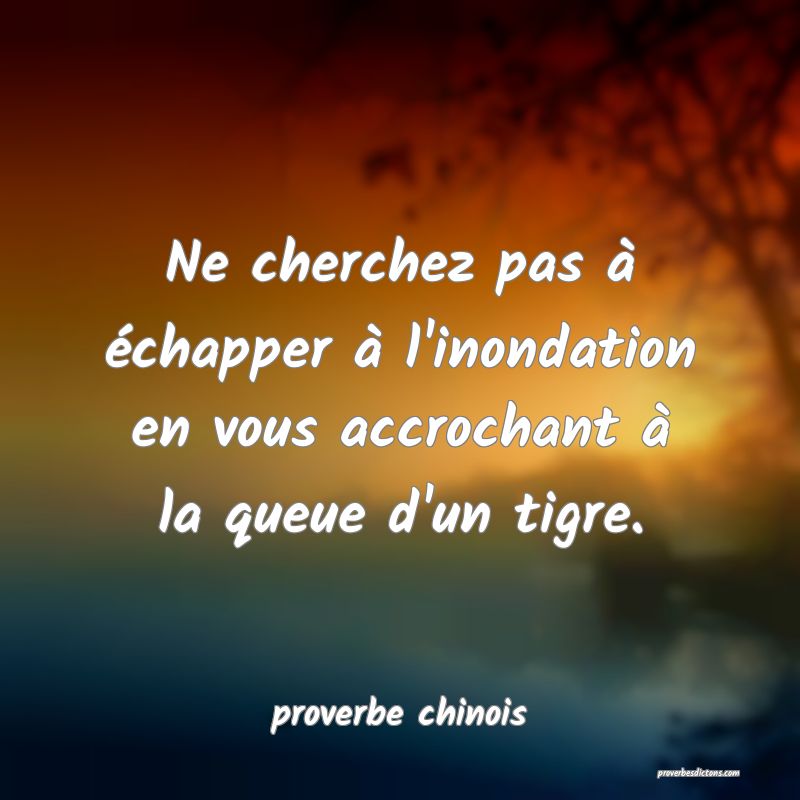  Ne cherchez pas à échapper à l'inondation en vous accrochant à la queue d'un tigre.