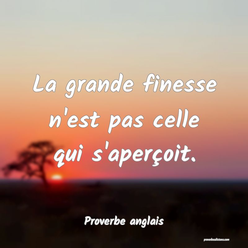  La grande finesse n'est pas celle qui s'aperçoit.