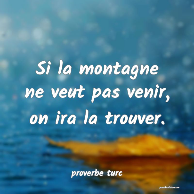  Si la montagne ne veut pas venir, on ira la trouver.
