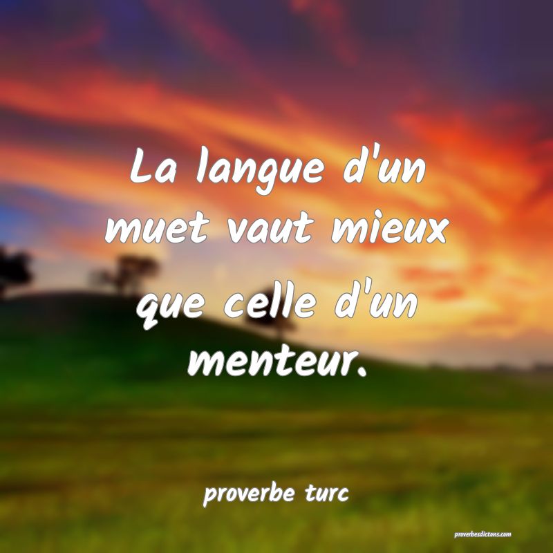  La langue d'un muet vaut mieux que celle d'un menteur.
