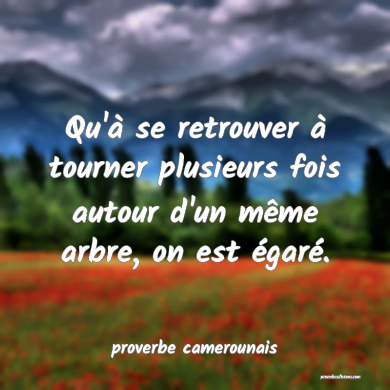 Qu'à se retrouver à tourner plusieurs fois autour d'un même arbre, on est égaré.