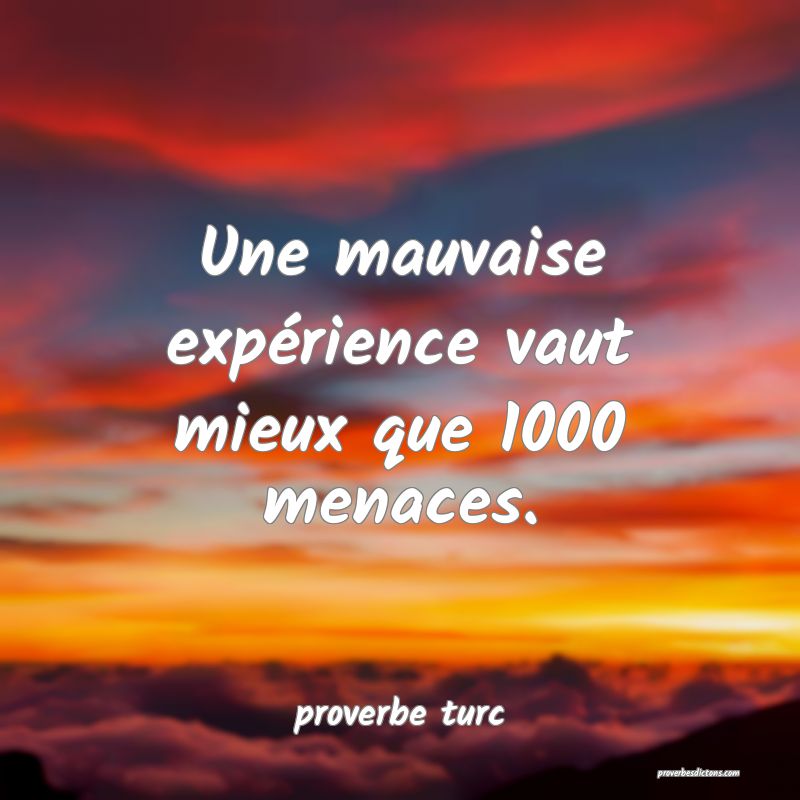  Une mauvaise expérience vaut mieux que 1000 menaces.