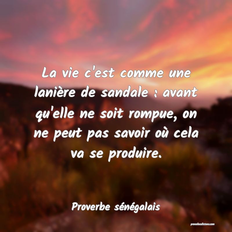  La vie c'est comme une lanière de sandale : avant qu'elle ne soit rompue, on ne peut pas savoir où cela va se produire.